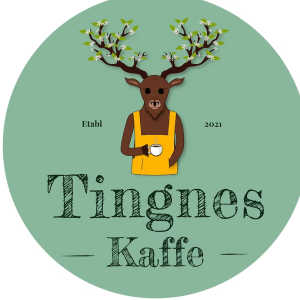 Tingnes Verde Bønner