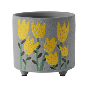 ADA Pot Multi colour