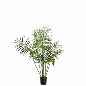 Flora kentia palm 60X60X130 cm, Green
